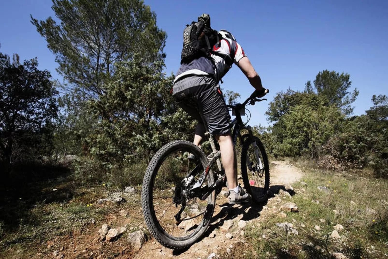 Appartements à Saint Jean d'Aulps-Gebiete Sommer 5 km