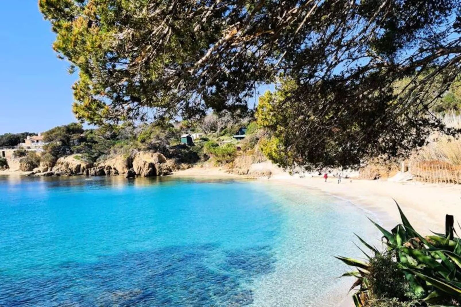 Résidence La Salamandre-Image-tags.