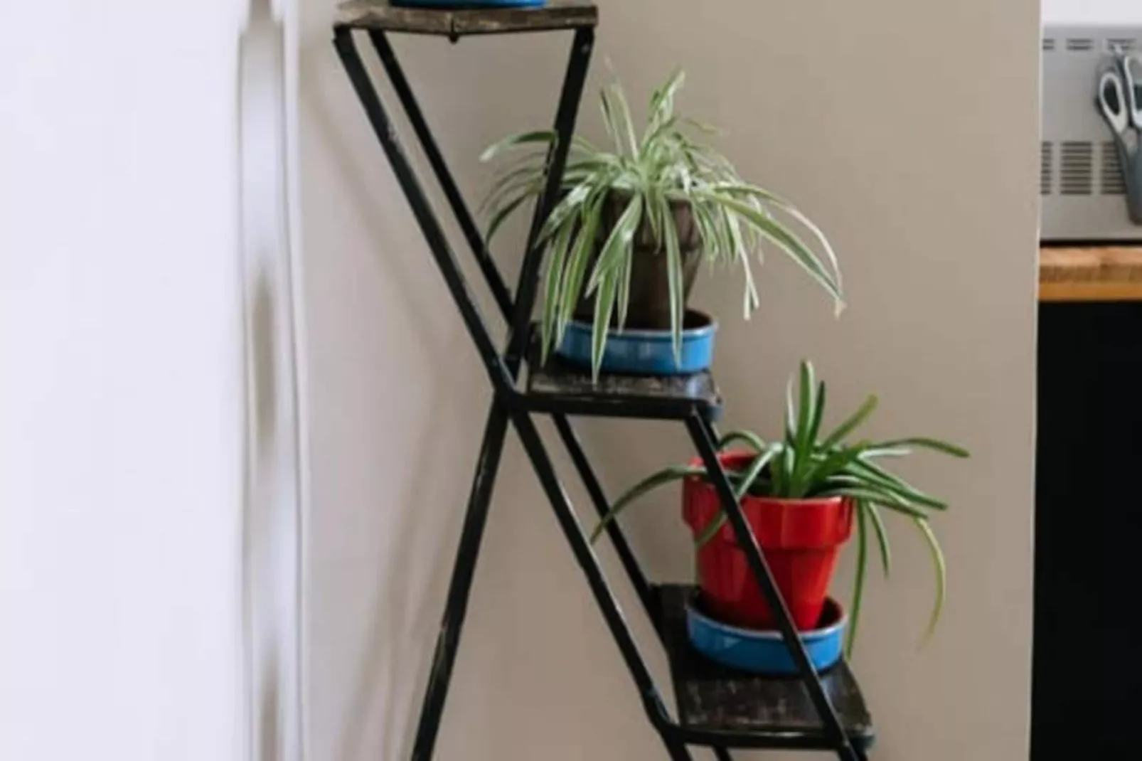 Appartement Lumineux Avec Piscine Et Spa-Image-tags.