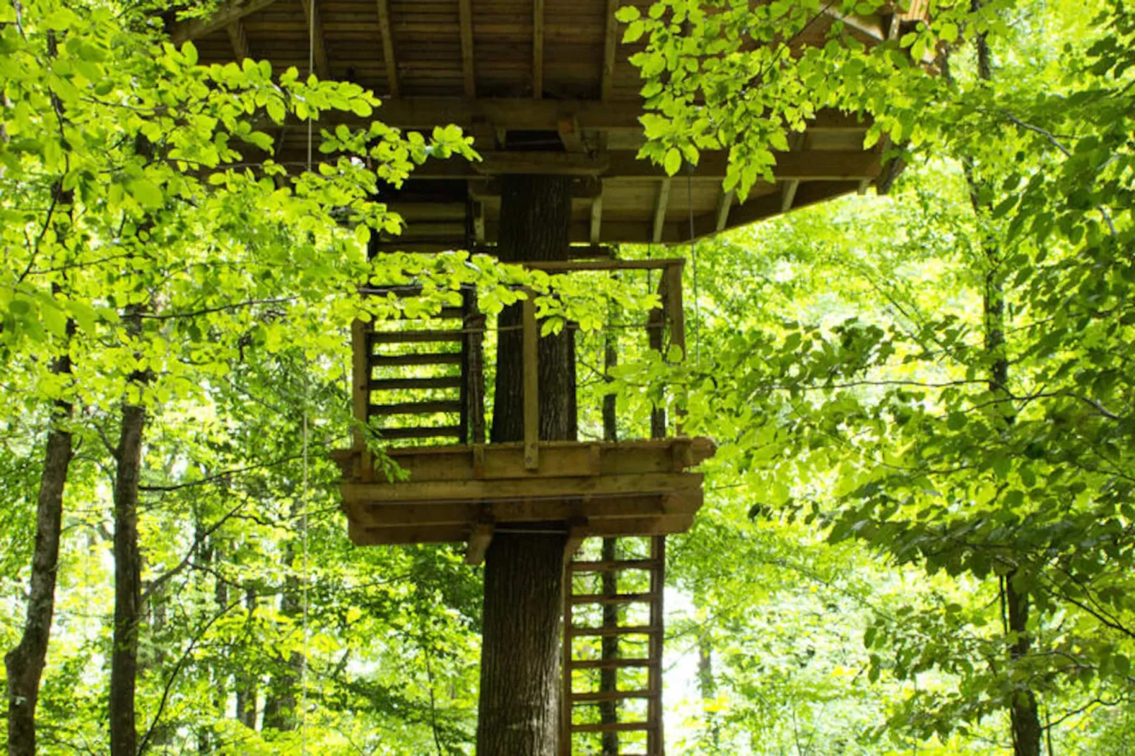 Parc de la Belle-Image-tags.