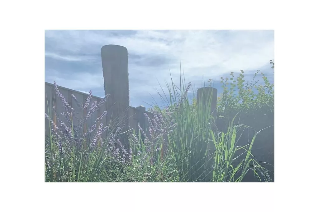 637765-Nicht zugeordnet