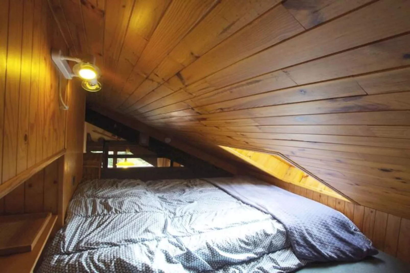 Résidence Ancolie - Hauts De Planchamp-Image-tags.