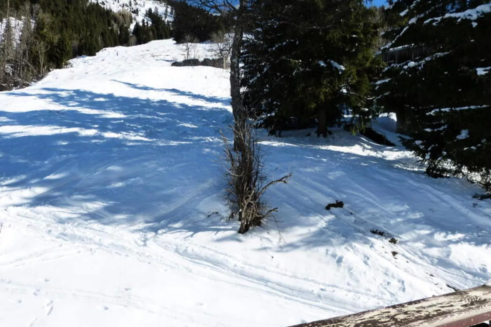 Résidence Aravis 1600 - Vue d'hiver