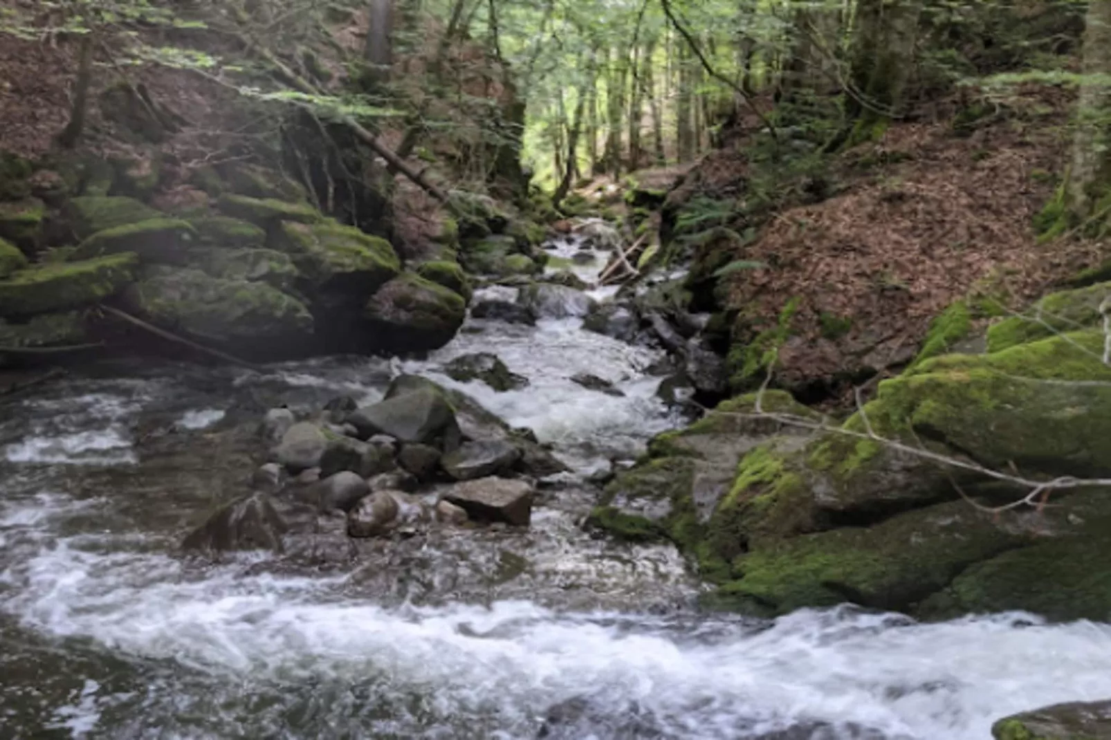 Appartements à La Clusaz-Areas within 5km in summer