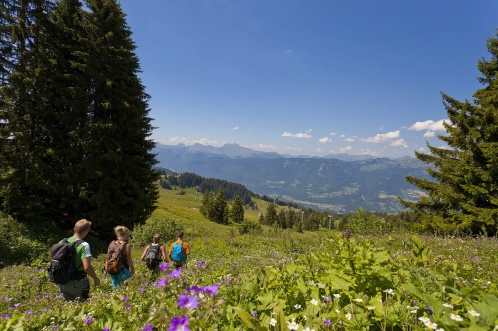 Résidence Odalys Le Buet**-Zones hiver à 5 km