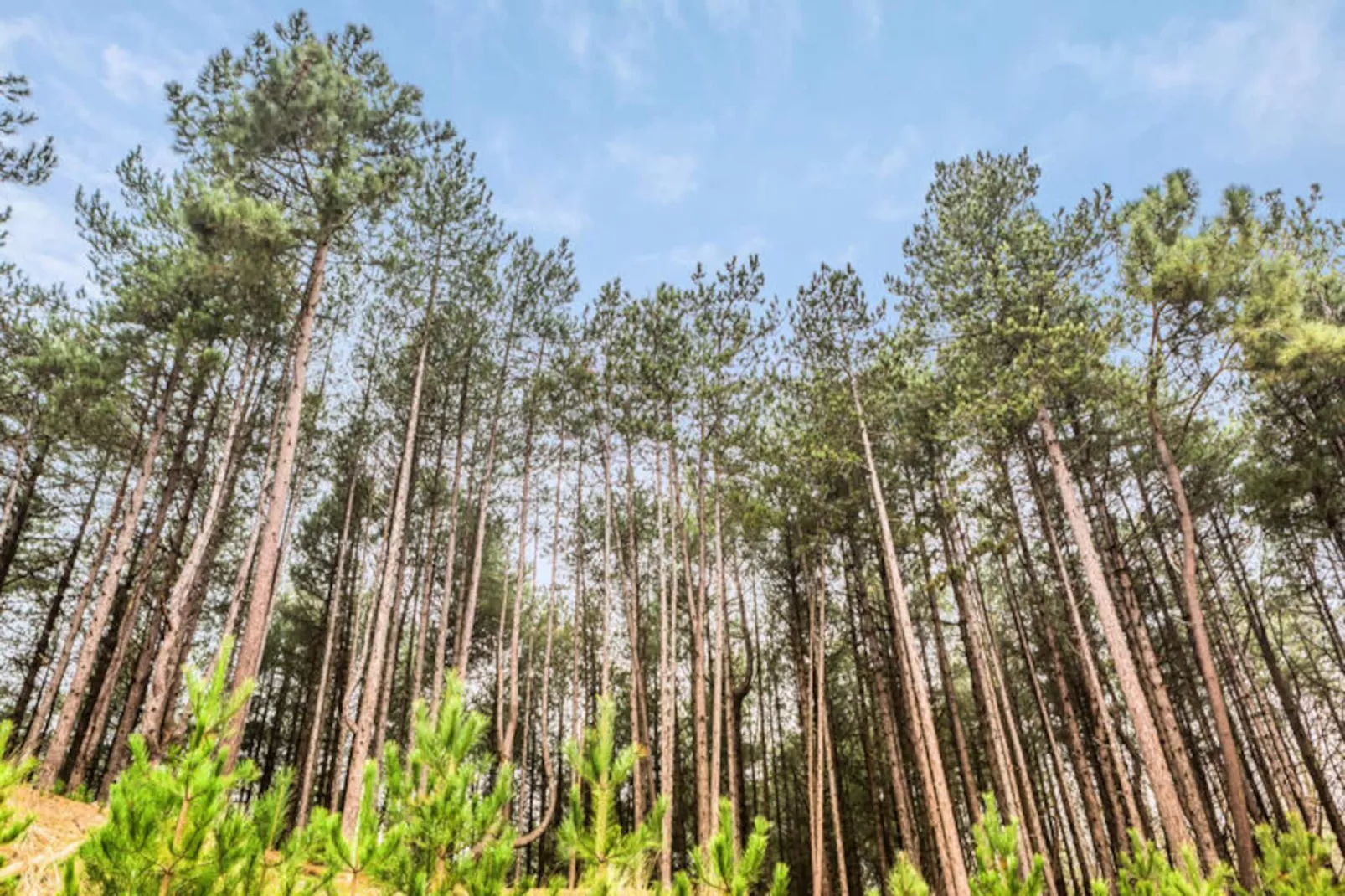 Les Maisons de Belle Dune - maeva Home