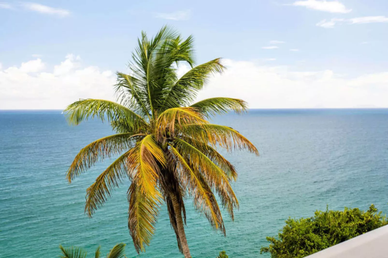 Villa Summer Forever-Image-tags.