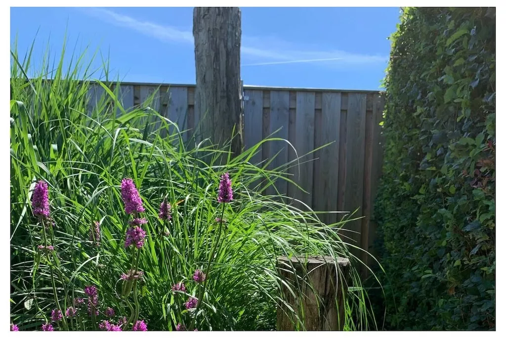 637765-Nicht zugeordnet