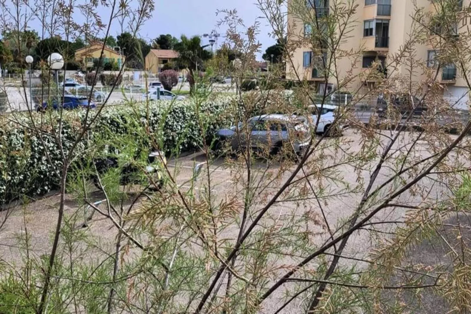 Résidence La Cigale De Mer &agrave; 100 M De La Plage Et Du Centre Ville Du Grau Du Roi-Aussicht Sommer