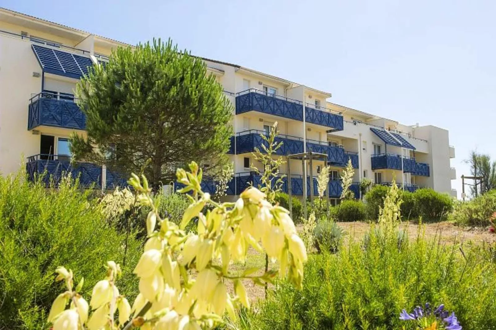 Résidence Bleu Marine - maeva Home-Exterior in summer