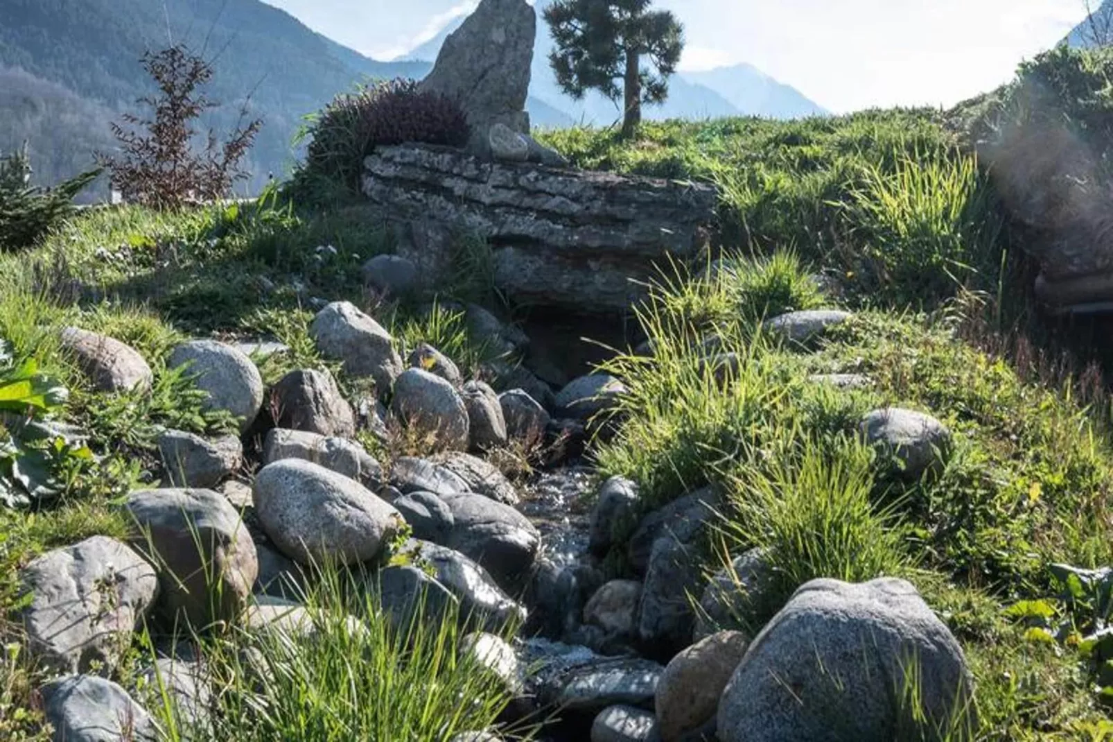 Résidence Les Chamois - Gebiete Sommer 5 km