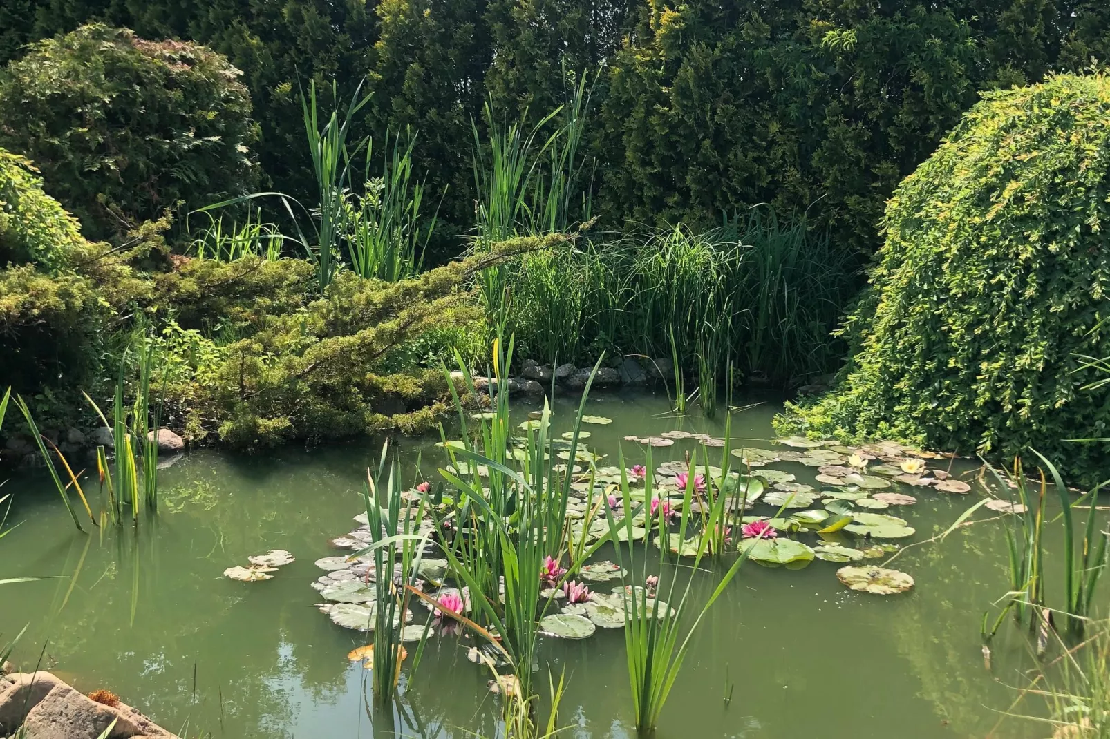 Dom wakacyjny Podamirowo-Gardens summer