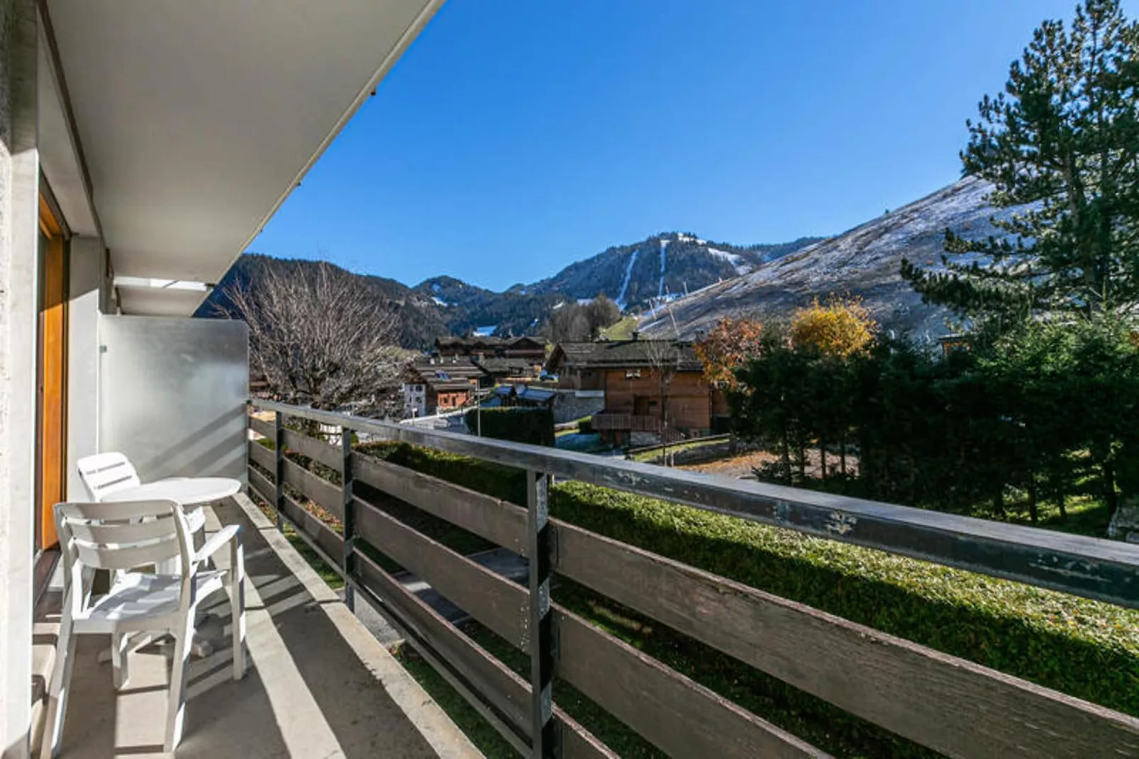 Résidence Hamster-Außenbereich Sommer