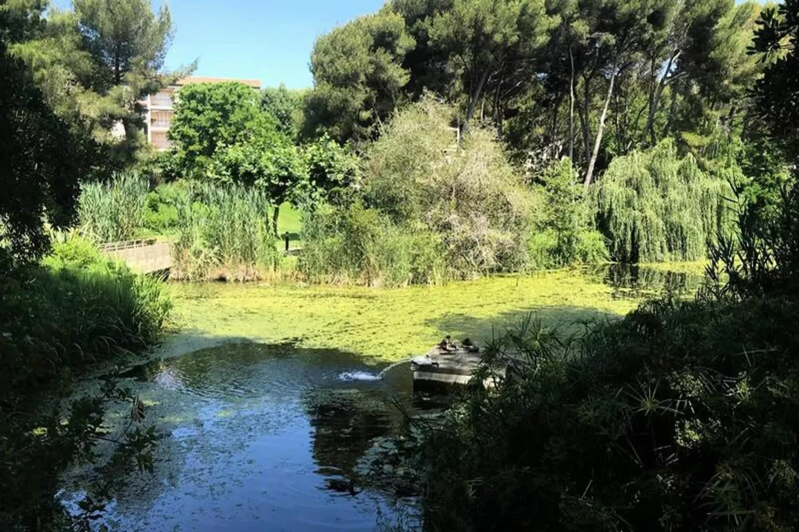 Résidence Alisier-Areas within 5km in summer