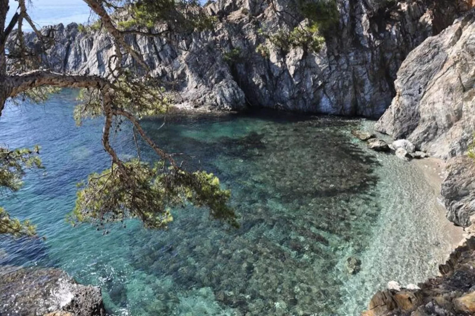 Résidence Le Palm -hyeres-Image-tags.