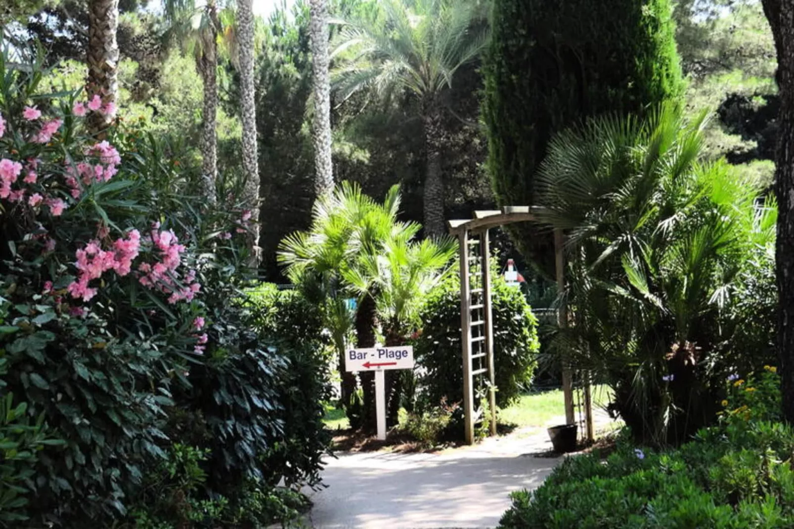 Résidence La Pinède - maeva Home-Garten Sommer