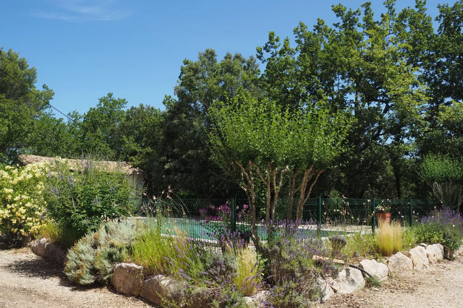 Ferienhaus in Ménerbes-Gardens summer