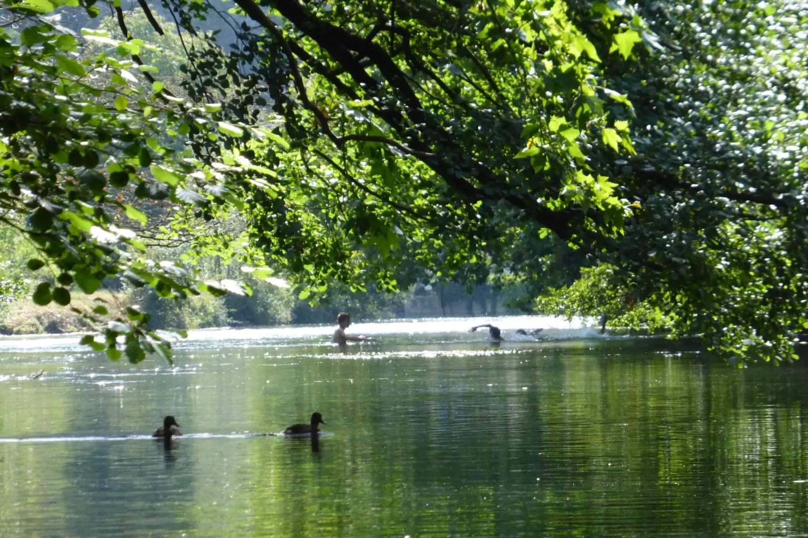 Reihenhaus in Monteux-Areas summer 5km