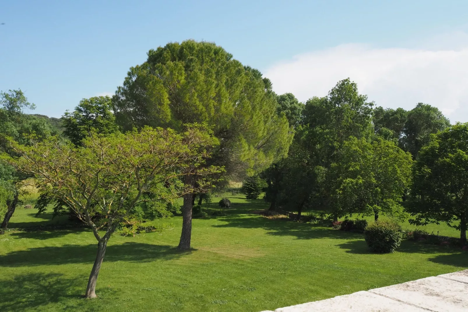 Doppelhaushälfte in Lussan / Le Lilas-Gärten Sommer