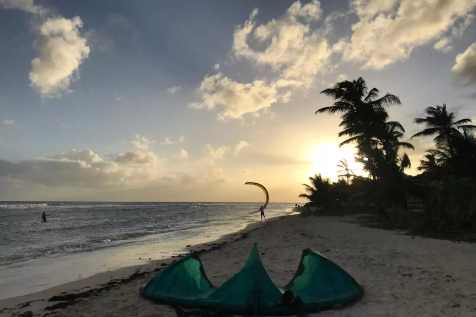 Bungalow Palm-Zones été à 5 km