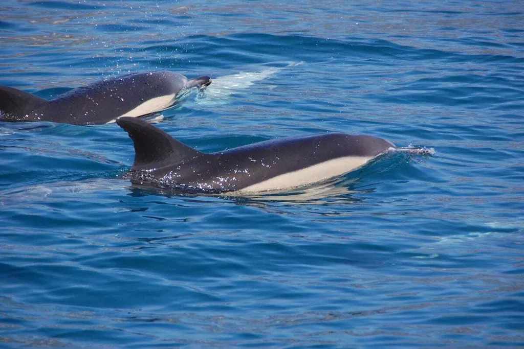 75273-Nicht zugeordnet