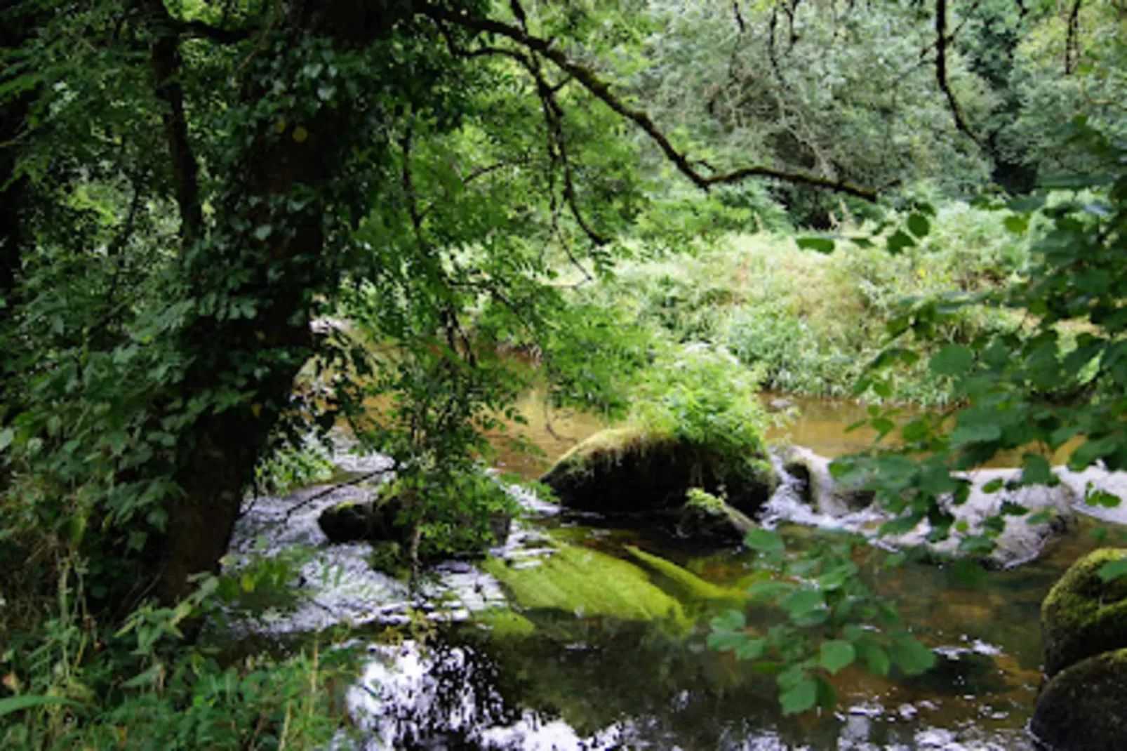 Résidence Les Goelands-Exterior in summer