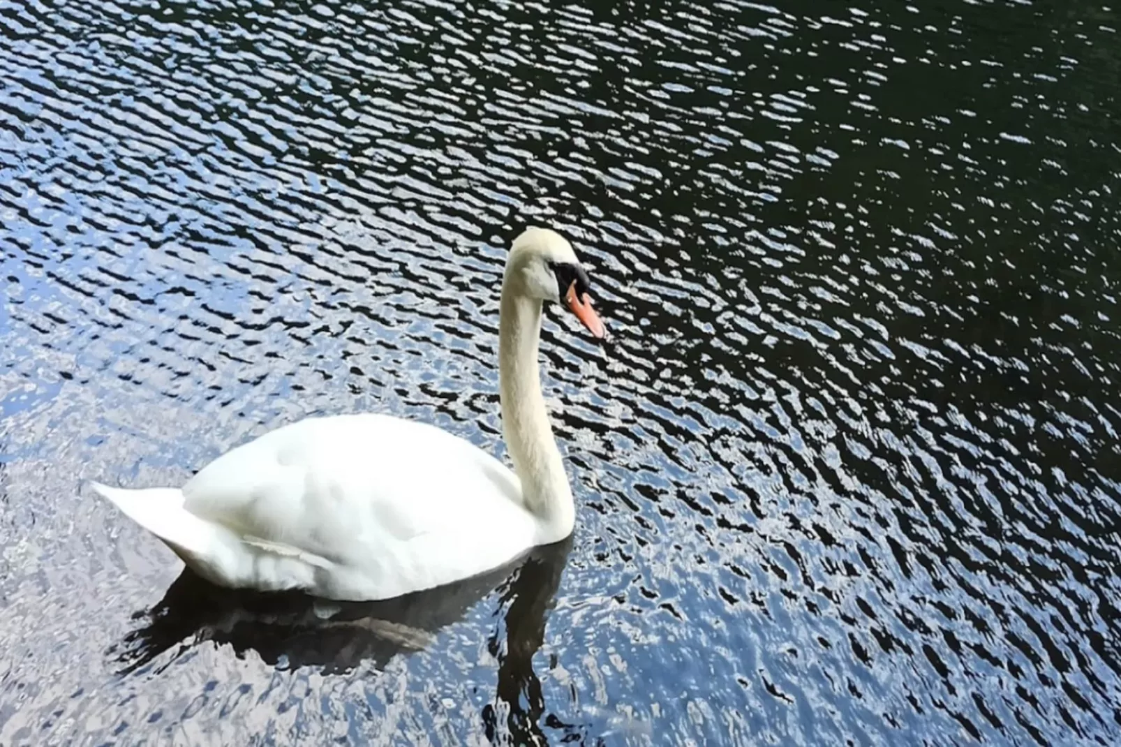 Résidence Grand Hotel-Areas within 5km in summer