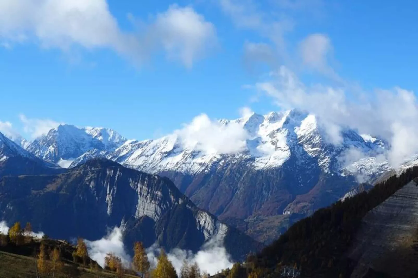 Résidence Ours Blanc P&v-Image-tags.