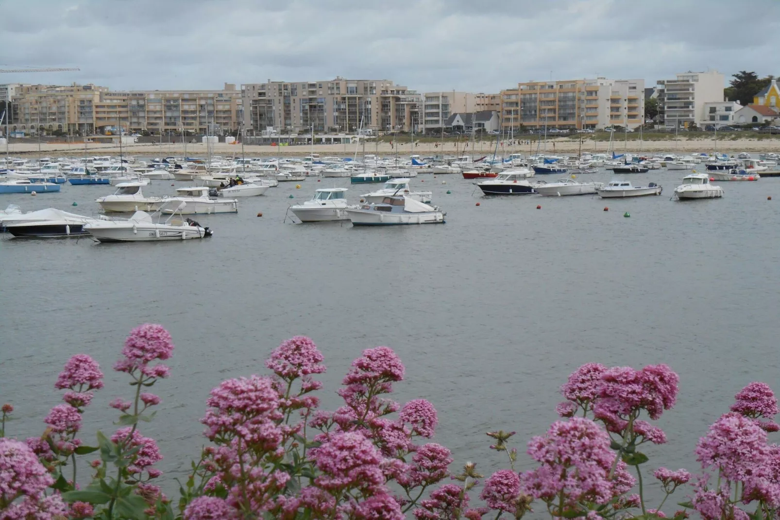 Résidence Prestige Odalys de la Plage-Areas within 5km in summer