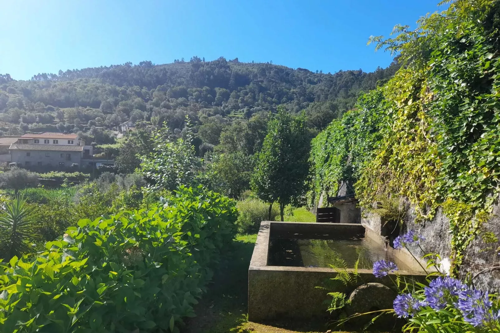 Casita da Lavandeira-Gärten Sommer