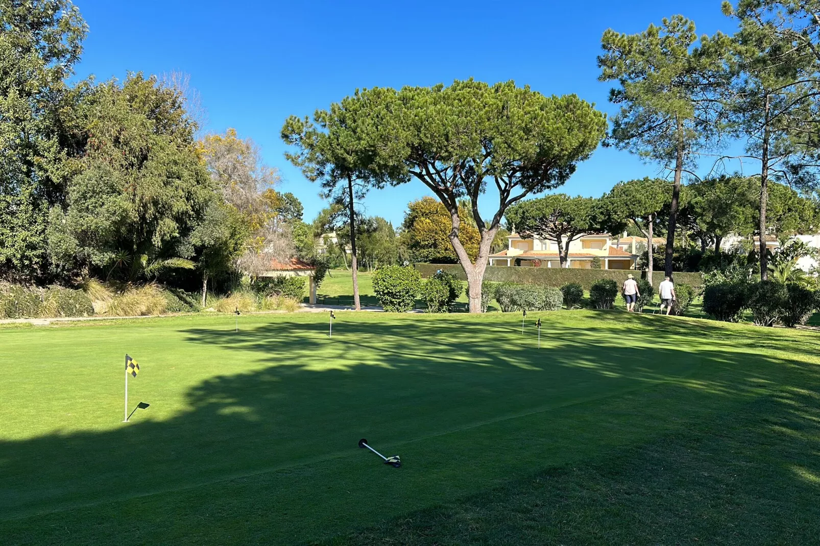 Quinta Amarela-Gebiete Sommer 5 km