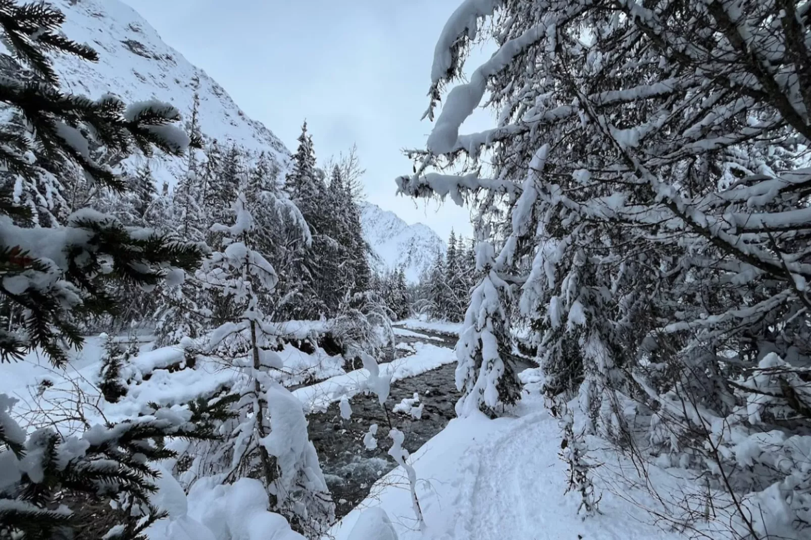 Résidence Antarès - maeva Home - Area within 5km in winter