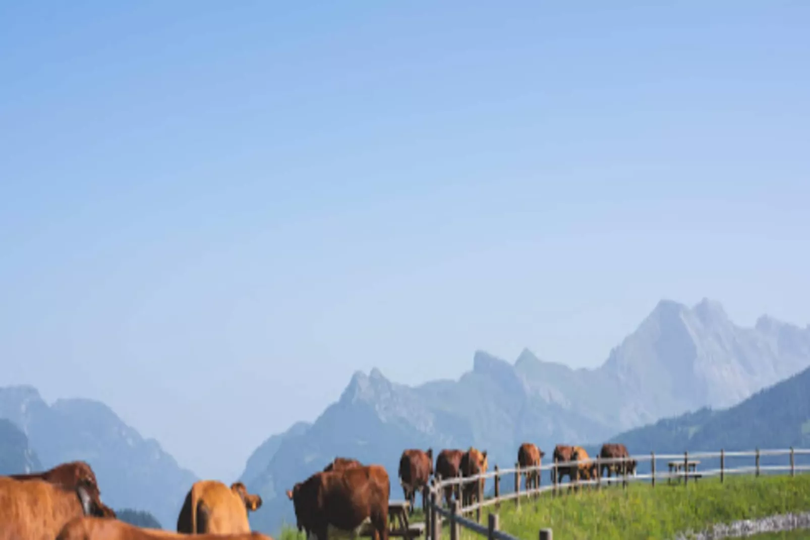 Résidence Aravis 1500-Aussicht Sommer