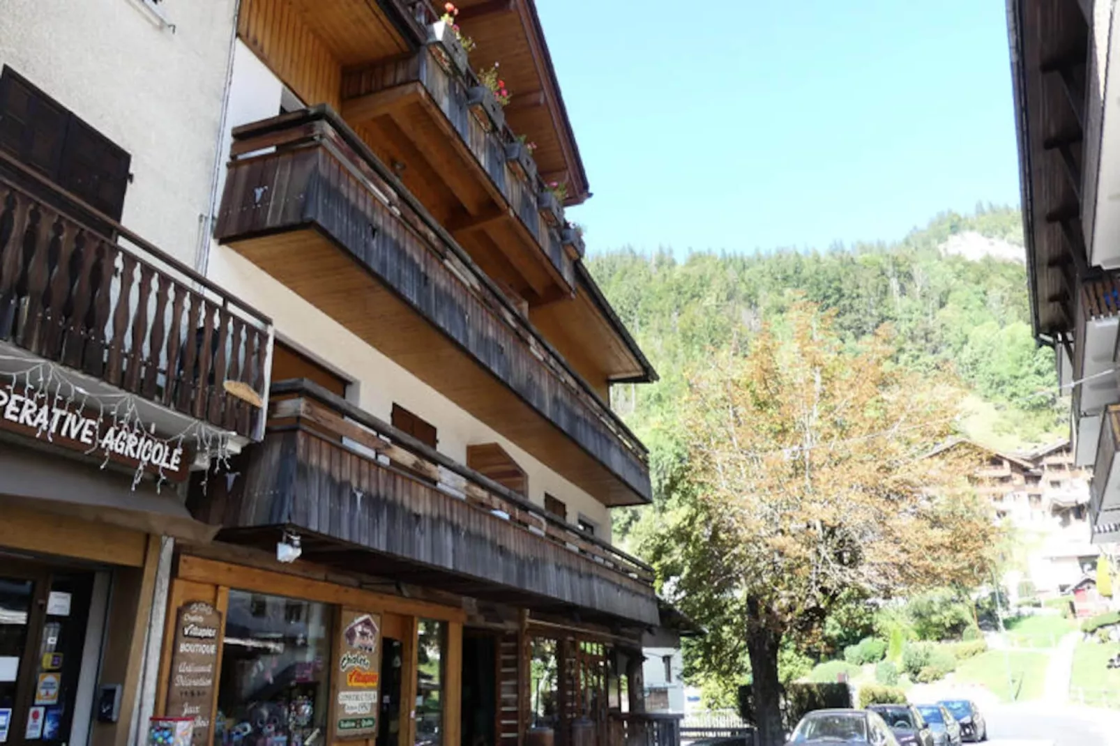 Appartements à La Clusaz-Image-tags.