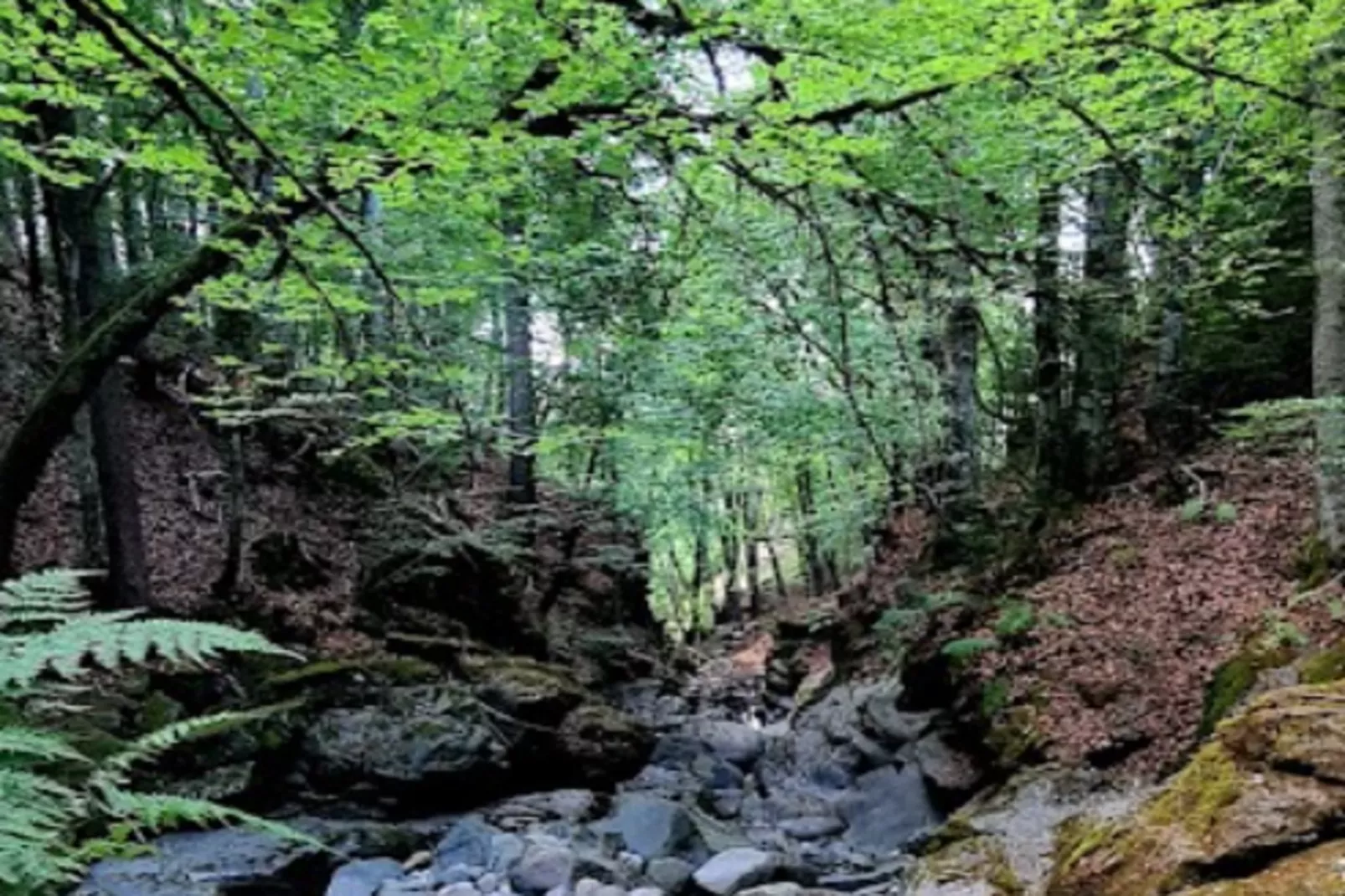 Appartements à La Clusaz-Area within 5km in winter