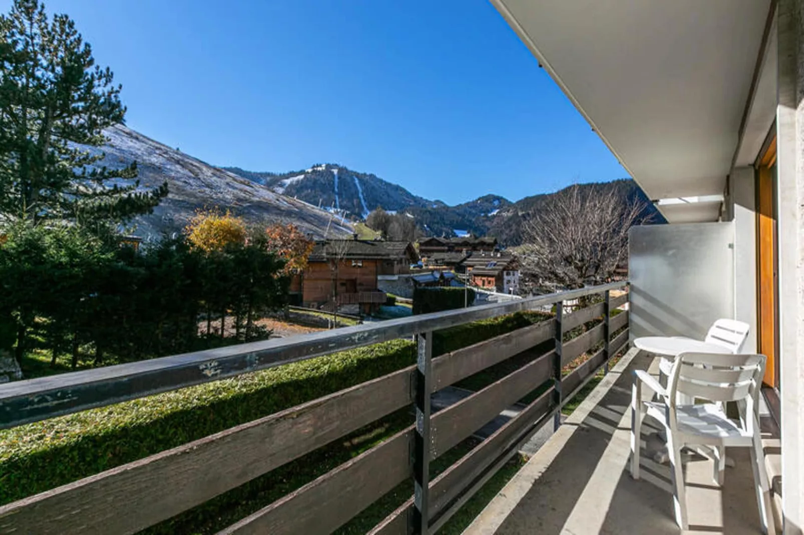 Résidence Hamster-Außenbereich Sommer