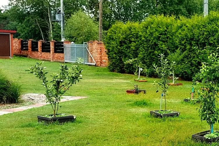 Holiday home Nowe Warpno Chick-Gardens summer