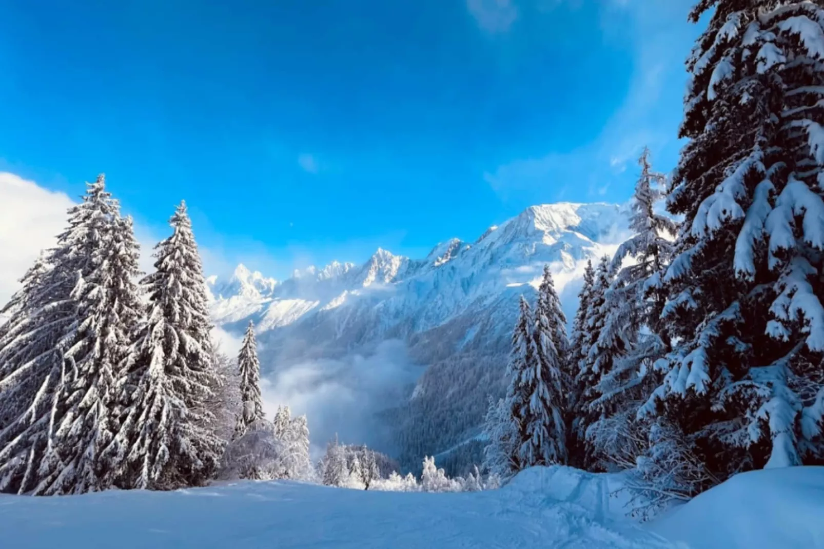 Résidence Les Aiguilles Rouges Bat B-Area within 5km in winter