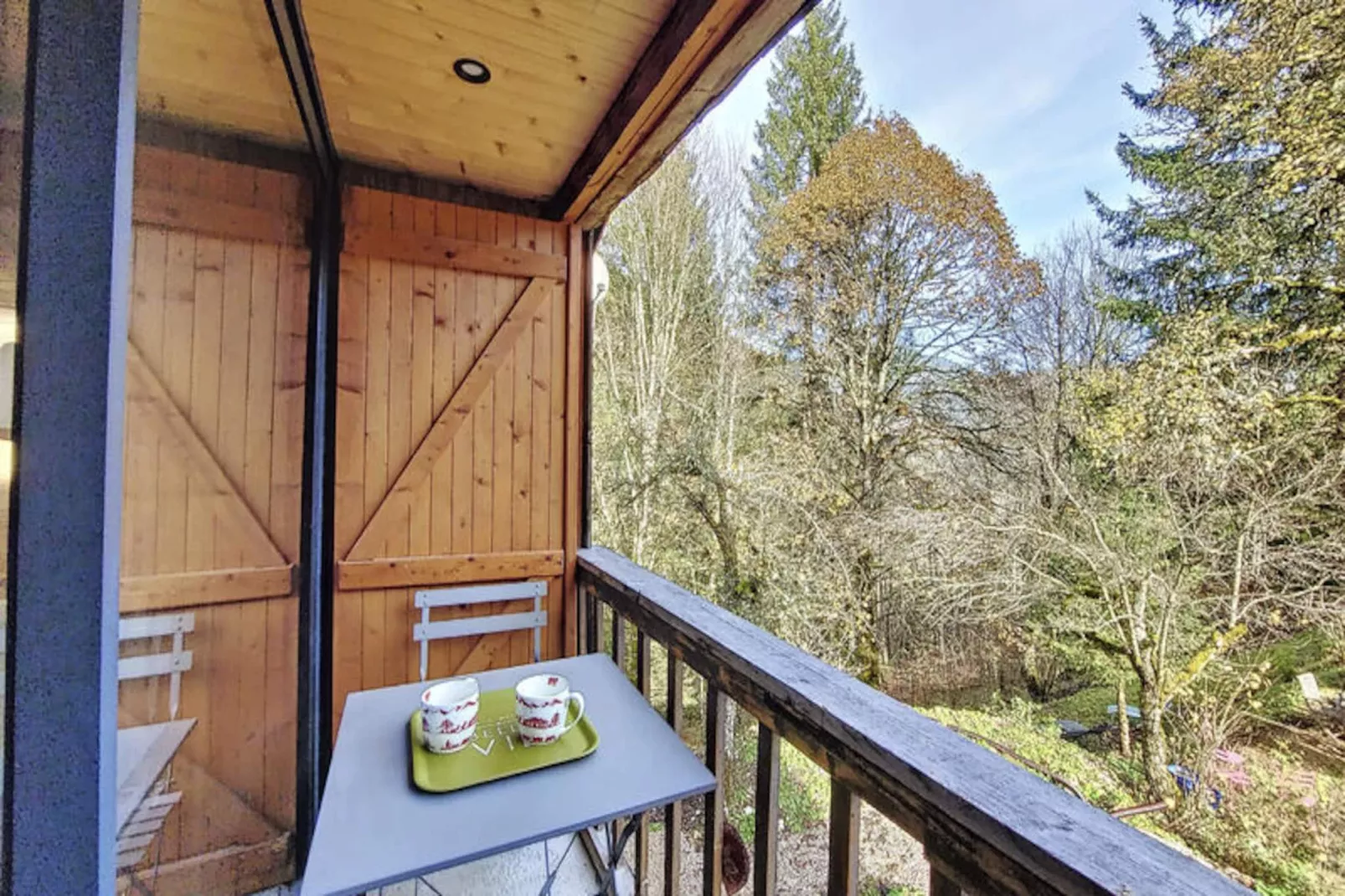 Appartements à Saint Jean d'Aulps-Image-tags.