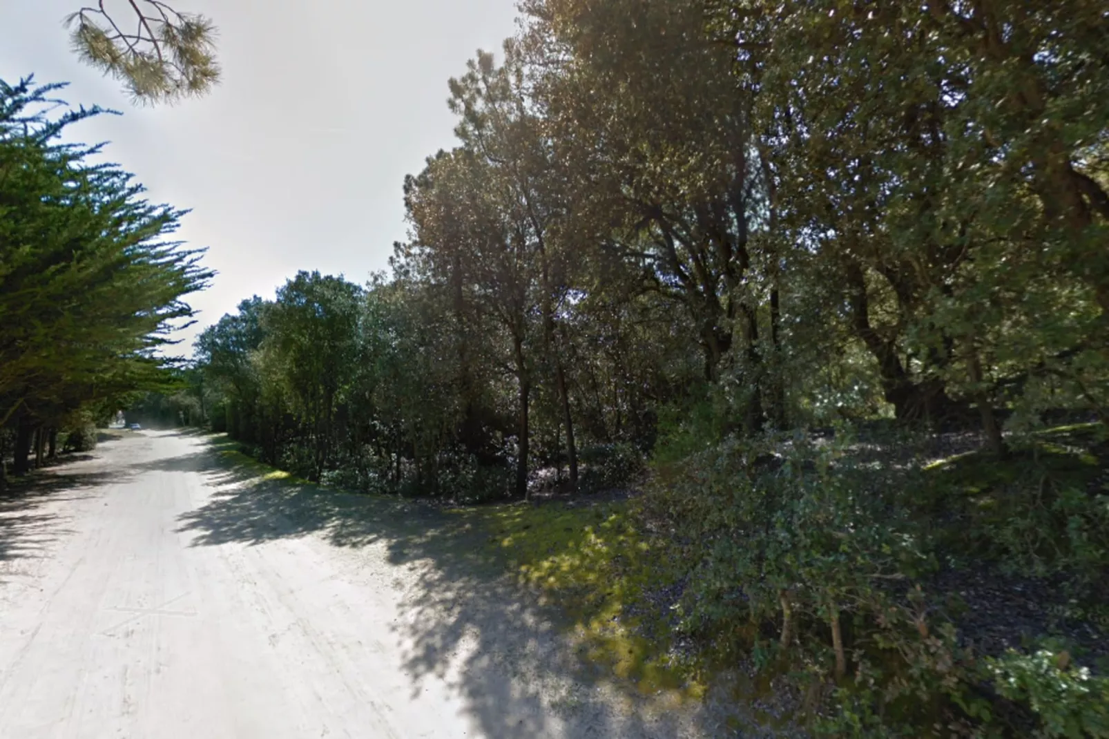 Villa Afrique Du Sud - Domaine Le Sherwood-Extérieur été