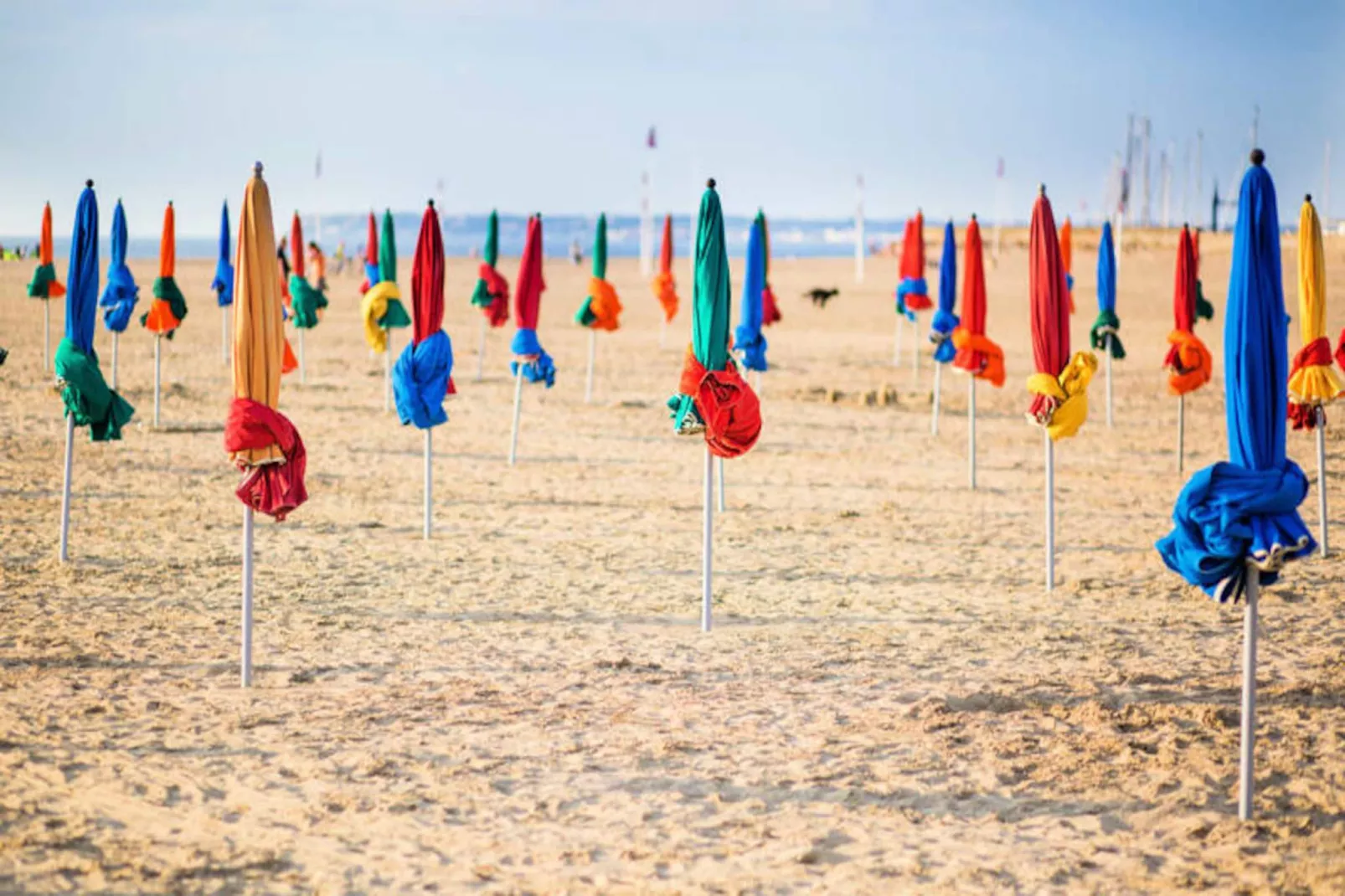 ⚡ Les Petites Normandes - Acc&egrave;s Direct Plage-Image-tags.