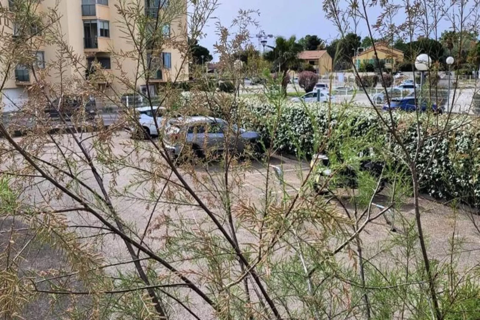Résidence La Cigale De Mer &agrave; 100 M De La Plage Et Du Centre Ville Du Grau Du Roi-Aussicht Sommer