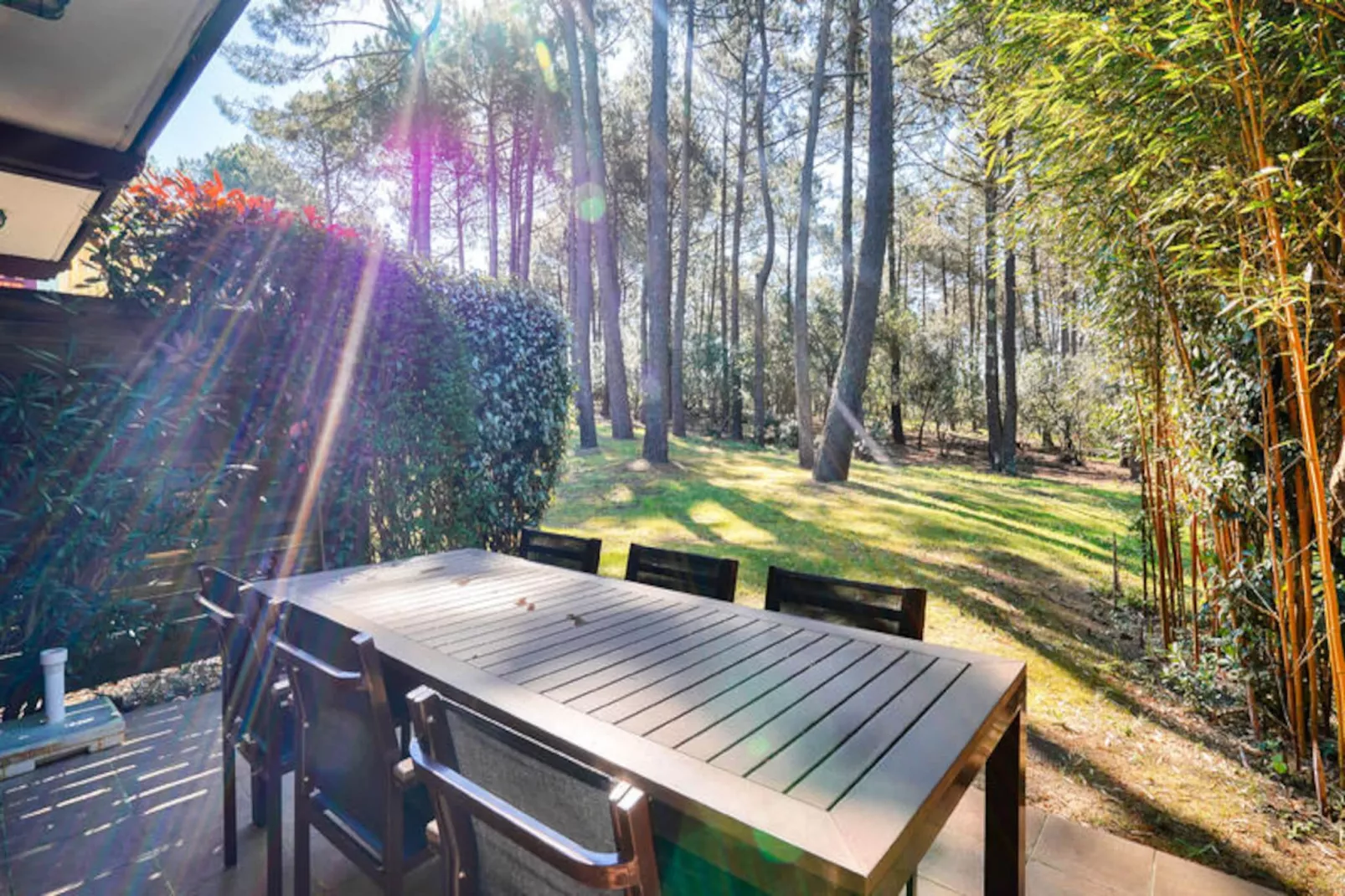 Les Maisons de Lacanau les Pins - maeva Home-Image-tags.