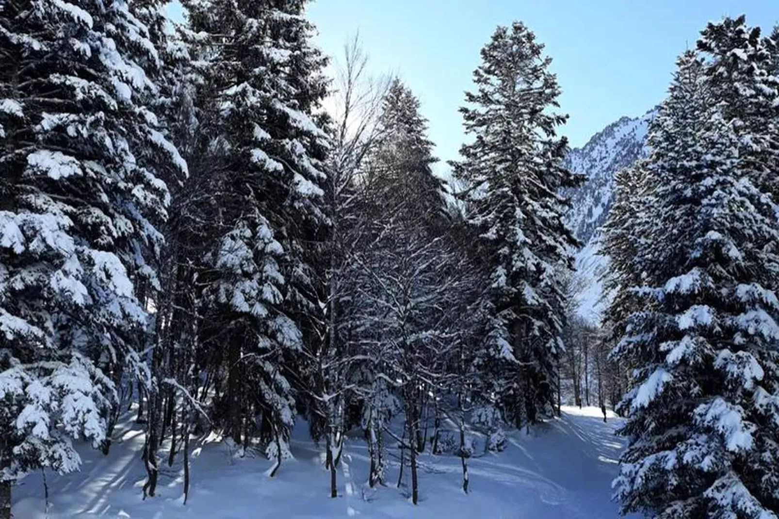 Résidence Ayre-Gebiete Sommer 5 km