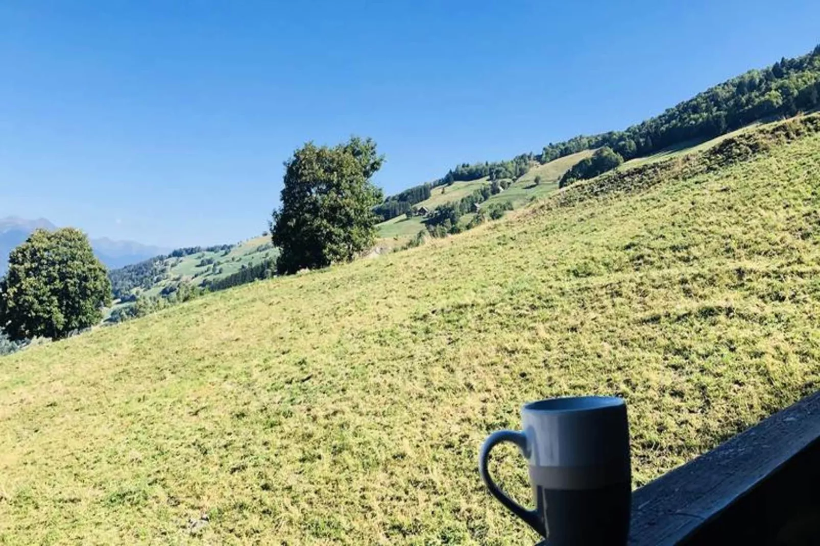 Résidence Camarine-View in summer