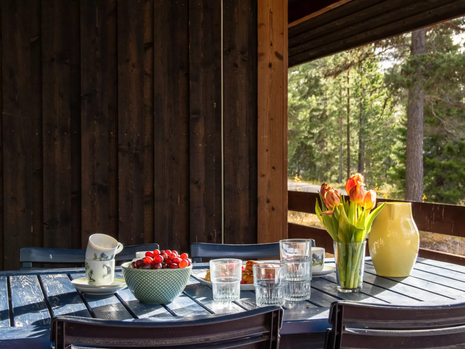 Fjällnästet-Draußen