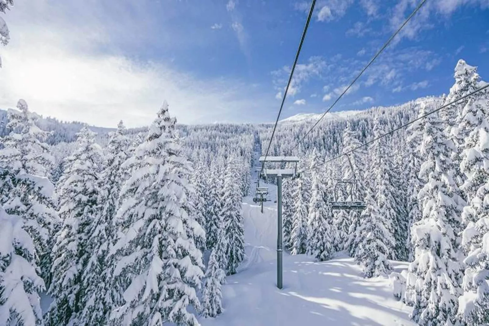 Résidence Belvedere-Area within 1km in winter