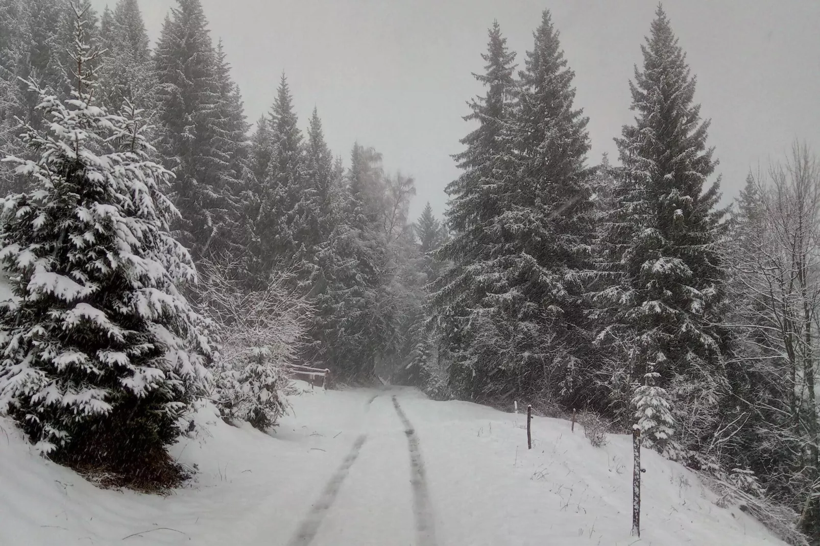 Résidence Le Brulaz-Außenbereich Sommer