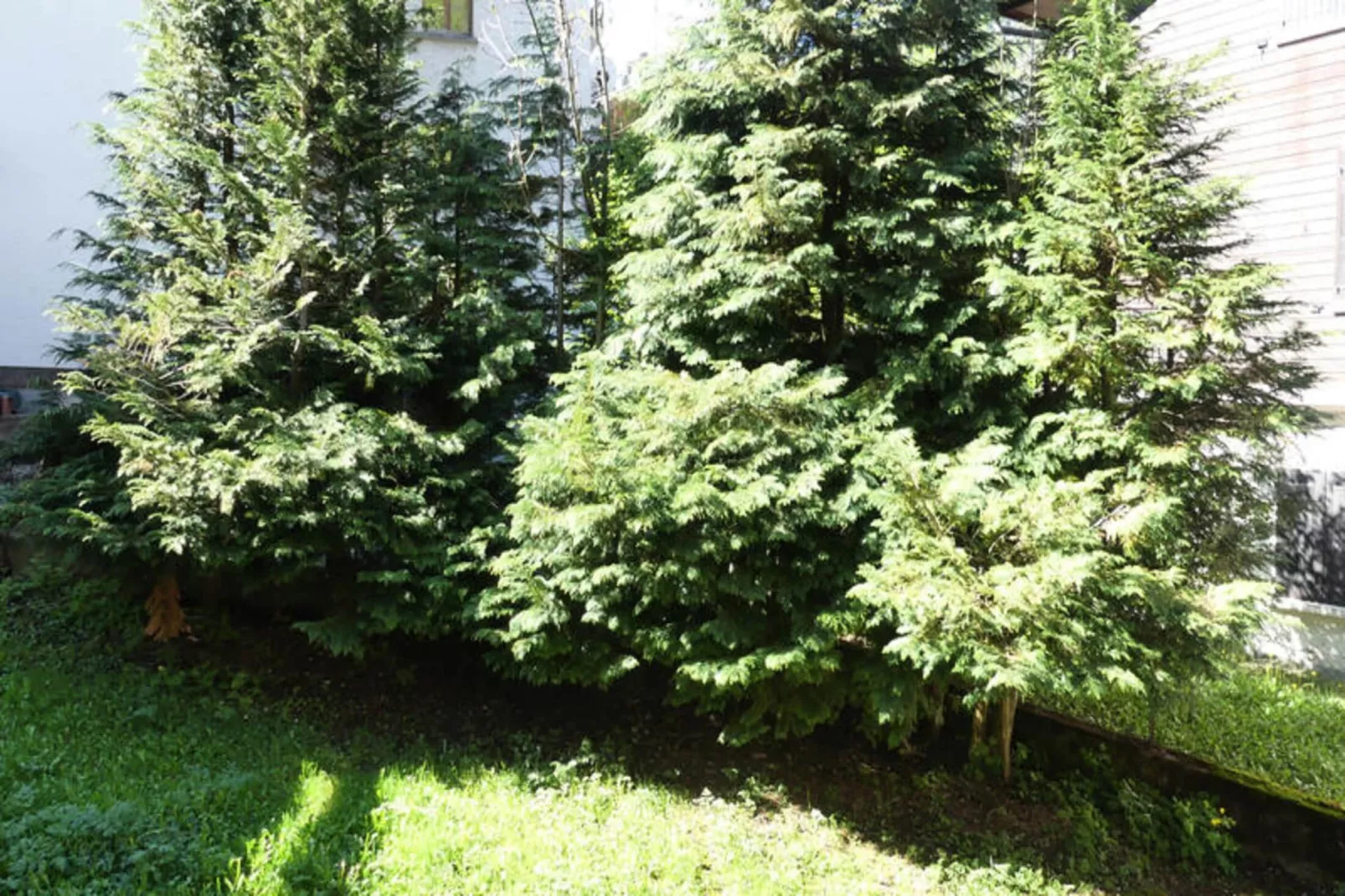 Appartements à La Clusaz-Salon