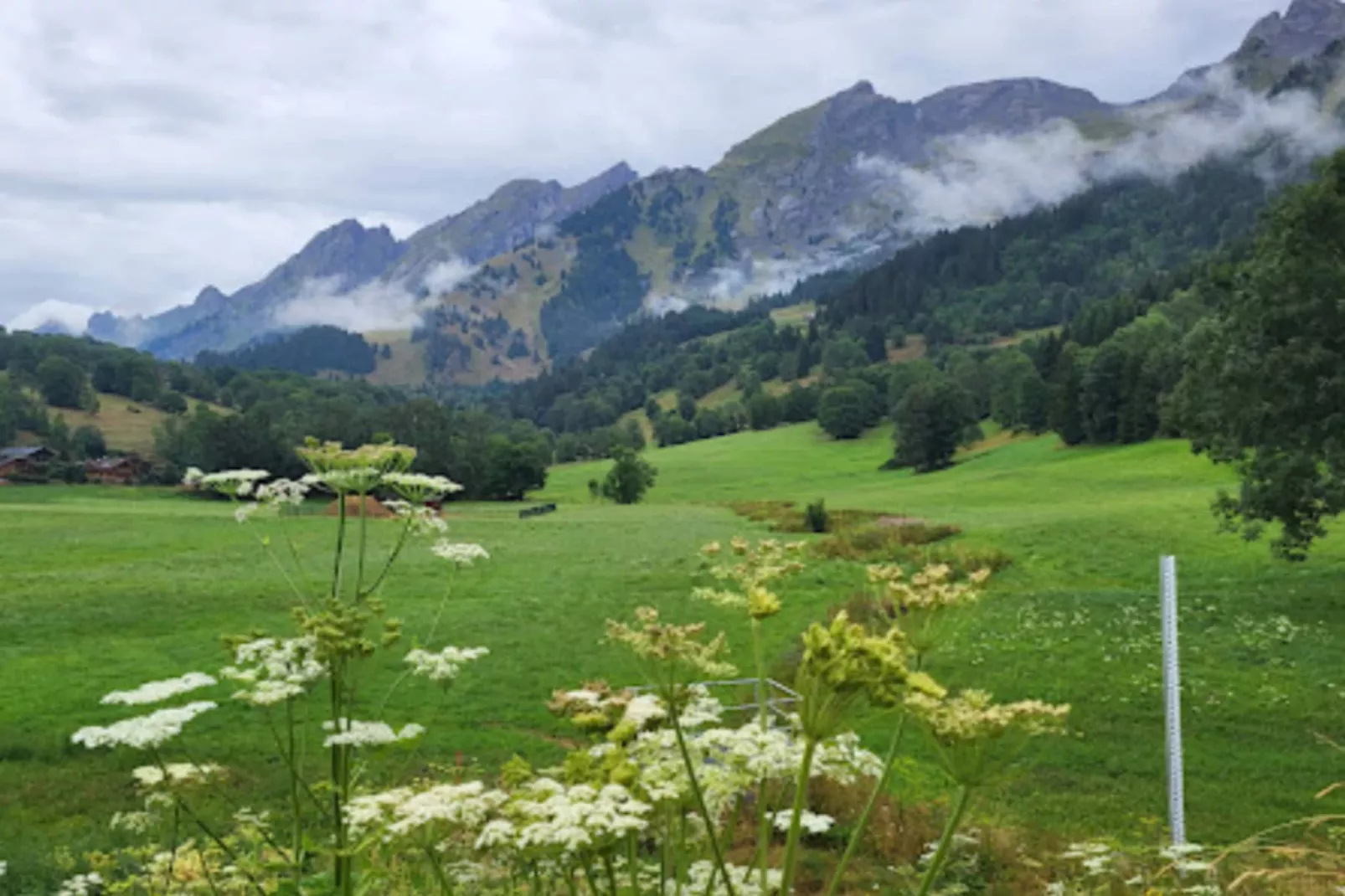 Résidence Les Cimes*****-Areas within 5km in summer